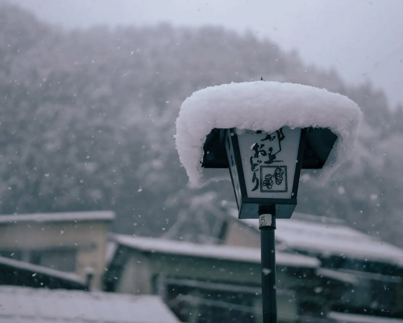 郡上おどりと書かれた照明。雪がきのこの傘のように覆いかぶさっている