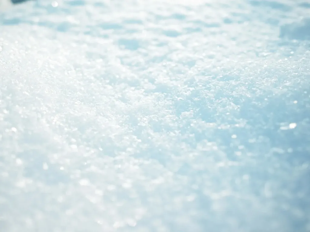 接写した雪。被写界深度によってキラキラ光るのが好き