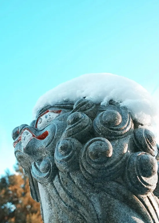 神社の狛犬。雪を頭に載せていていい感じだった
