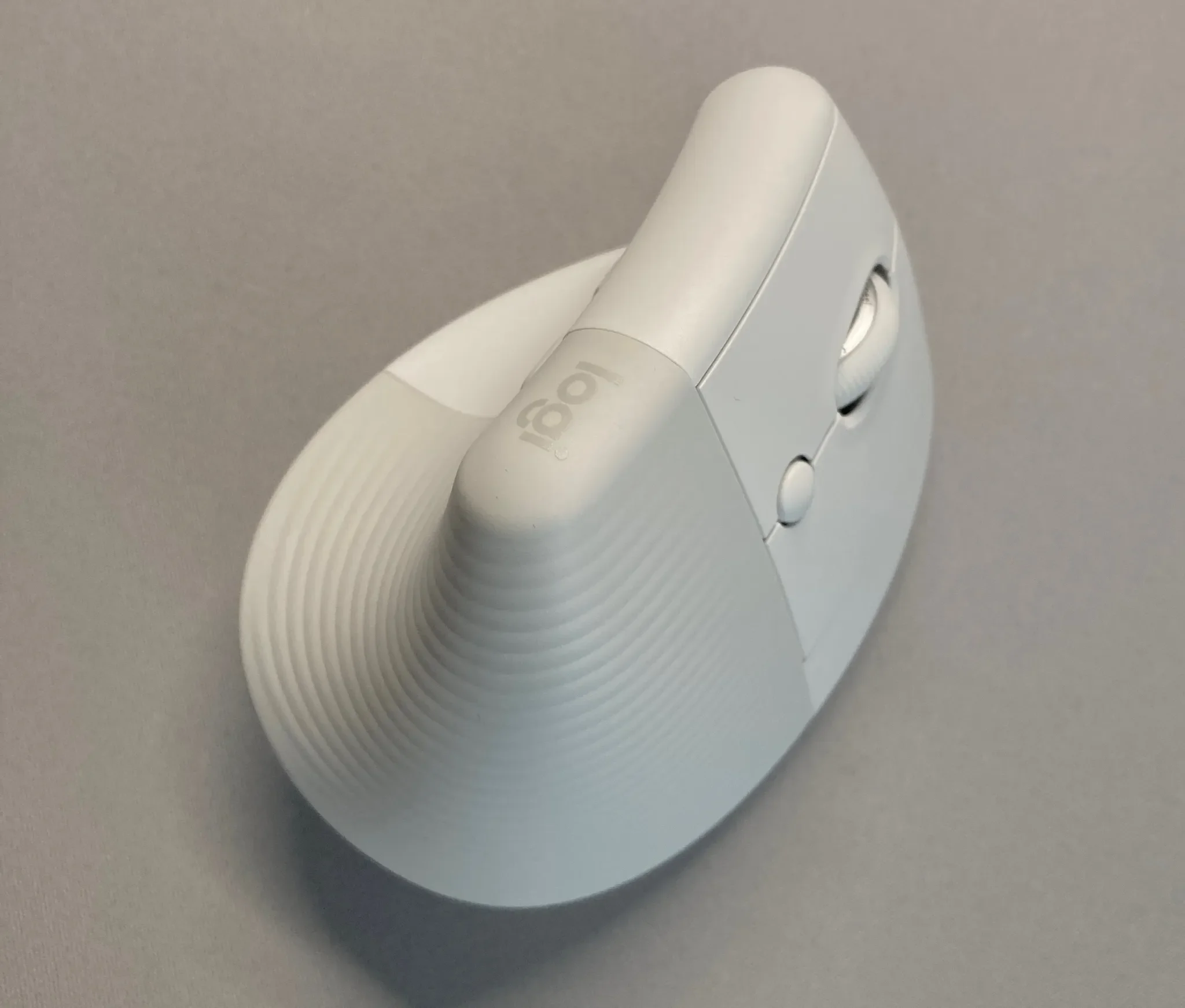 マウスの全景。見慣れないと違和感が凄い。